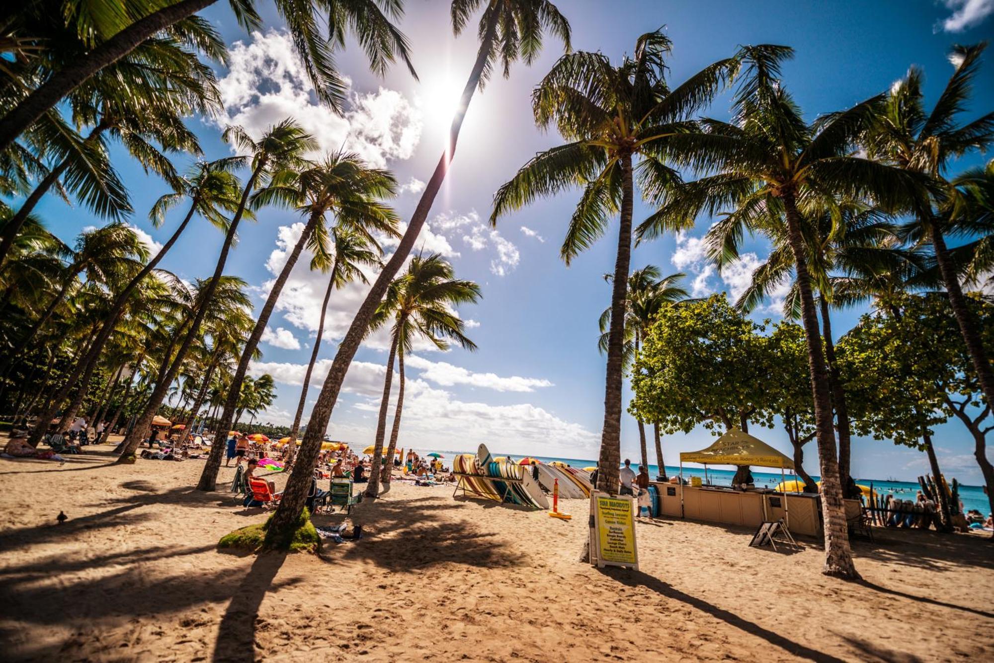 Diamond Head View Close To Waikiki Beach With Parking Гонолулу Экстерьер фото